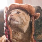 Toots modeling his Christmas bonnet.jpg