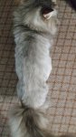 20190510_205901.jpg
