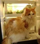 noah_fridge01.JPG