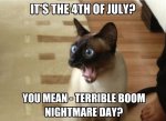 4th July fireworks cats.jpg