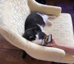 PS online dating.jpg