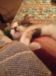 2017-03-14 21.31.35.jpg