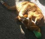 flash with duck small.jpeg