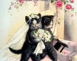 WeddingCats.jpg