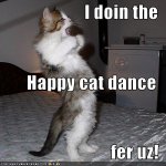 happycatdance.jpg