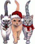 animated-cat-image-0459.gif