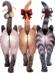 animated-cat-image-0460.gif