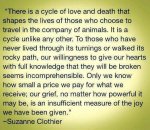 Pet Sympathy Poem Clothier.JPG