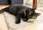 Bonbon catnip pillow.JPG