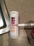 Maxi Ketone Test Feb.10.JPG
