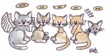 cats_angels_001.JPG