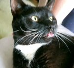 20200226_194807.jpg 20200226_194807.jpg