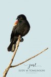 Red-Winged Blackbird 2020 01.jpg