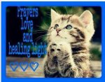 prayers love healing light.jpg