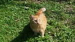 20160916_135511.jpg
