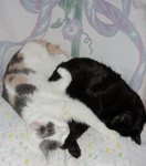 Alice & Ravan 2020.jpg