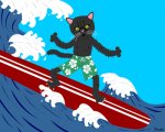 surfercat.jpg
