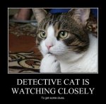 Detective Cat watches closely.jpg