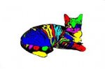 Rainbow kitty2.jpg