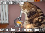 cat detective inspects evidence.jpg