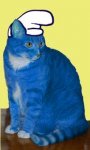 smurf cat.jpeg