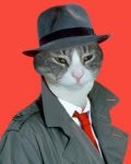 cat detective.jpeg