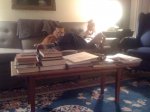 IMG_1088 Grammy and Pippin.JPG