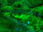 green lagoon 2.jpeg