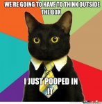poop-cat_o_578116.jpeg