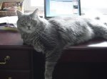 DSC00039.jpg