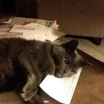 Eukanubo with  Papers.jpg