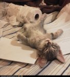 work hard. sleep hard.jpg