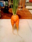 Carrot-Pants.jpeg