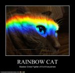 rainbow cat.jpg