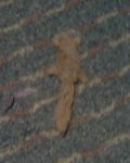 100112212817-1.jpg
