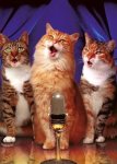 CATS_SINGING.jpeg