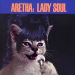 kitten-covers-aretha-335mk062812.jpeg