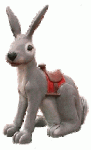 jackrabbit_hp.gif