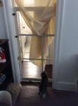 cat divider door May 2020 2.jpg
