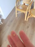 IMG_20200606_130634.jpg