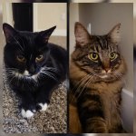 2020-07-19_18.26.16.jpg 2020-07-19_18.26.16.jpg