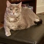 WhatsApp Image 2020-08-23 at 12.31.49 PM (1).jpeg