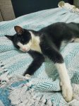 20200916_020041.jpg