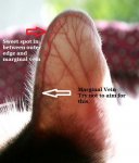 42798DB3-D677-4D5F-9C10-04650383D041.jpeg