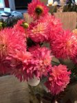 EndOfSeasonDahlias3.JPG