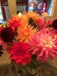 EndOfSeasonDahlias4.JPG