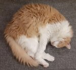 sleeping like a baby.jpg