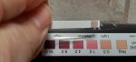 ketone strip.jpg
