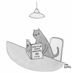 Screen Shot 2020-11-21 at 8.32.30 AM.png