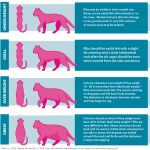 upload_2020-12-10_18-1-12.png